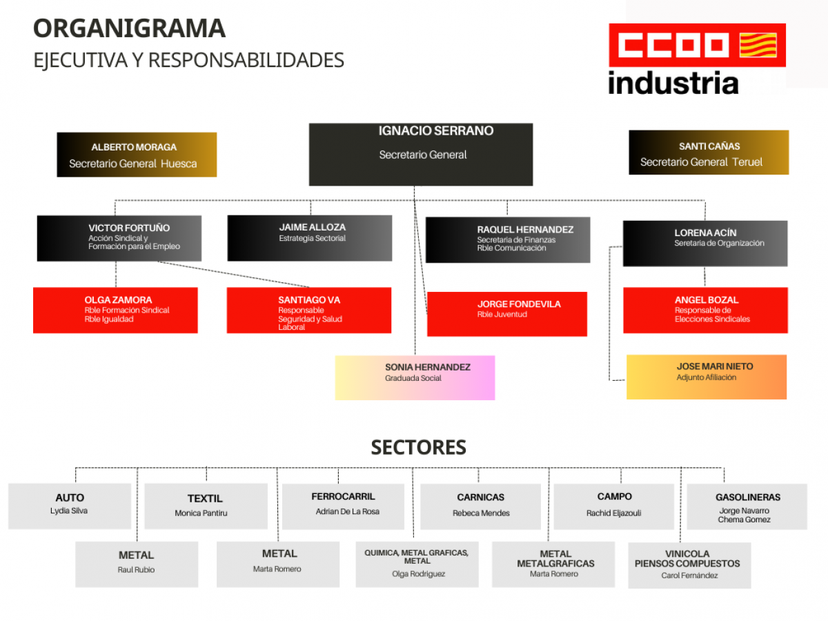 organigrama responsabilidades